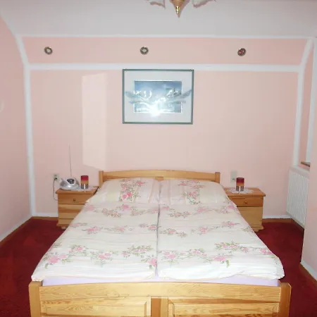 Vanessa-apart Apartment *